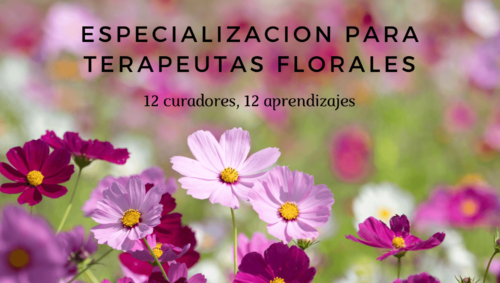 2º nivel de Terapeutas de flores de Bach